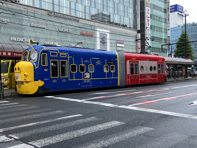 鉄道フォト・写真：岡山電気軌道  岡山駅前停留場 鉄道フォト・写真 by ポムフリットさん - 撮影日 2024/06/23 09:28