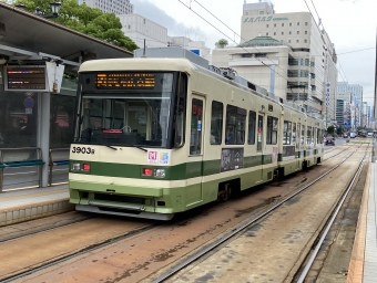 広島電鉄 広電3900B形(Mc) 3903B 鉄道フォト・写真 by ポムフリットさん 原爆ドーム前停留場：2024年06月24日13時ごろ