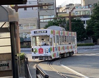 岡山電気軌道7200形電車 7201 鉄道フォト・写真 by ポムフリットさん 城下停留場 (岡山県)：2024年06月24日06時ごろ