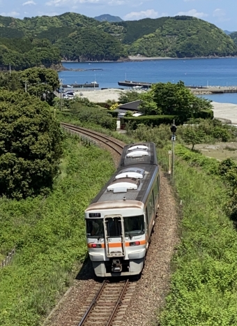 JR東海 鉄道フォト・写真 by ポムフリットさん 三野瀬駅：2021年05月03日12時ごろ