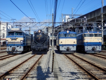 JR東日本 D51形 D51 498 鉄道フォト・写真 by さんたかさん 高崎駅 (JR)：2016年10月29日11時ごろ