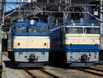 JR東日本 国鉄EF65形電気機関車 EF65 501 鉄道フォト・写真 by さんたかさん 高崎駅 (JR)：2016年10月29日11時ごろ