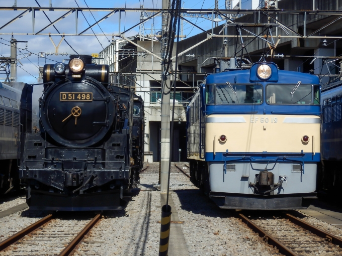 JR東日本 国鉄EF60形電気機関車 EF60 19 鉄道フォト・写真 by さんたかさん 高崎駅 (JR)：2016年10月29日11時ごろ