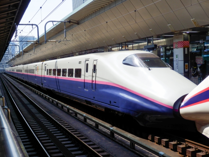 JR東日本 E224形(T2c) E224-1119 鉄道フォト・写真 by さんたかさん 東京駅 (JR)：2017年03月25日11時ごろ
