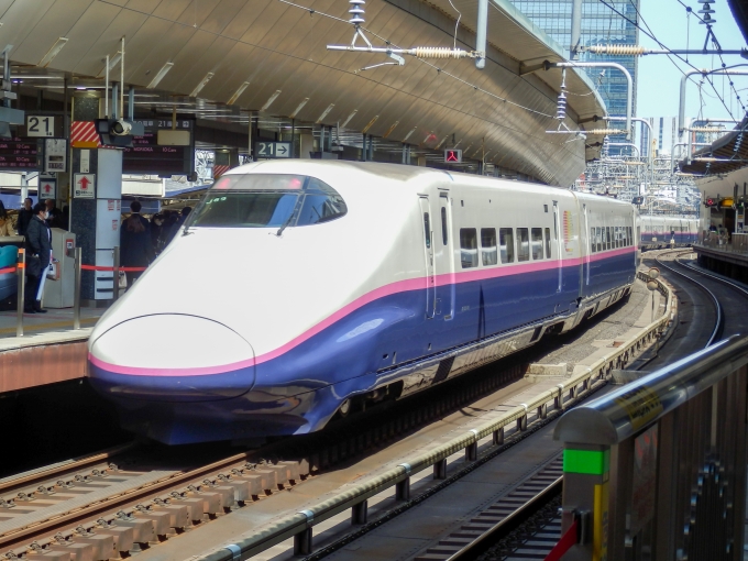 JR東日本 E223形(T1c) E223-1019 鉄道フォト・写真 by さんたかさん 東京駅 (JR)：2017年03月25日11時ごろ