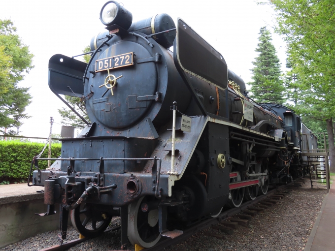 国鉄D51形蒸気機関車 D51 272 池尻大橋駅 鉄道フォト・写真 by さん