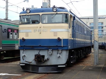 JR東日本 国鉄EF65形電気機関車 EF65 501 鉄道フォト・写真 by さんたかさん 大井町駅 (JR)：2013年08月24日10時ごろ