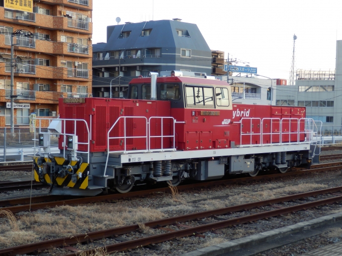 JR貨物 HD300形 HD300-8 鉄道フォト・写真 by さんたかさん 八王子駅：2014年01月20日07時ごろ