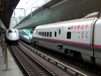 JR東日本 E311形(M1sc) やまびこ(新幹線) E311-22 鉄道フォト・写真 by さんたかさん 東京駅 (JR)：2014年02月13日09時ごろ