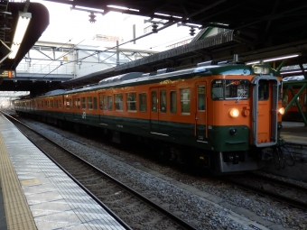 JR東日本 クハ115形 クハ115-1101 鉄道フォト・写真 by さんたかさん 高崎駅 (JR)：2014年03月10日16時ごろ