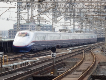 JR東日本 E2系新幹線電車 鉄道フォト・写真 by さんたかさん 大宮駅 (埼玉県|JR)：2014年03月27日17時ごろ