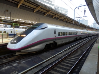 JR東日本 E3系新幹線電車 鉄道フォト・写真 by さんたかさん 東京駅 (JR)：2014年03月27日17時ごろ