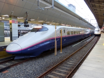 JR東日本 E2系新幹線電車 鉄道フォト・写真 by さんたかさん 東京駅 (JR)：2014年03月27日17時ごろ