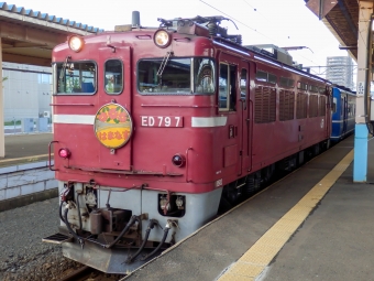 JR北海道 国鉄ED79形電気機関車 はまなす(急行) ED79 7 鉄道フォト・写真 by さんたかさん 青森駅 (JR)：2014年08月30日05時ごろ