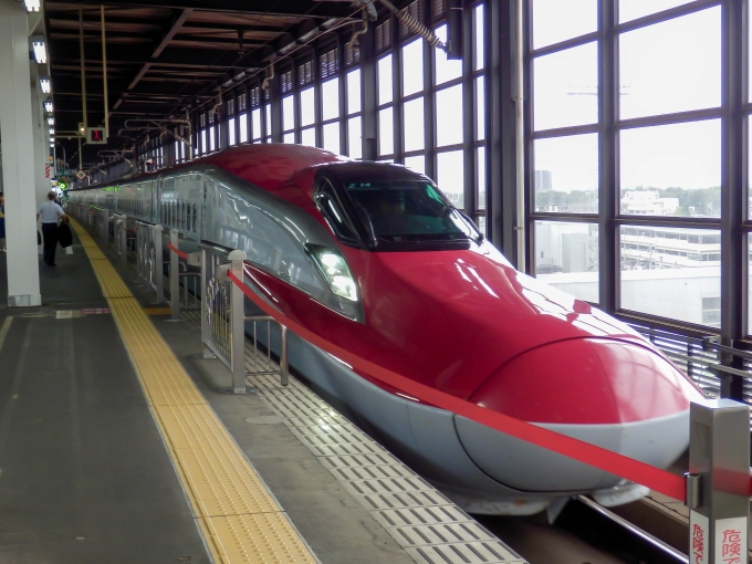 JR東日本 E621形(M1c) こまち(新幹線) E621-14 鉄道フォト・写真 by さんたかさん 盛岡駅 (JR)：2014年08月30日11時ごろ