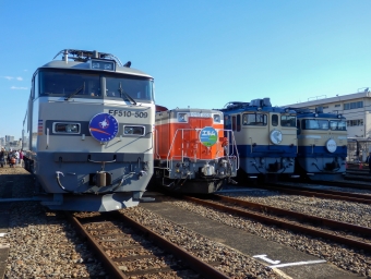 JR東日本 EF510形 EF510-509 鉄道フォト・写真 by さんたかさん 尾久駅：2014年11月15日13時ごろ