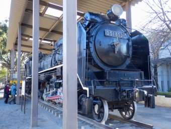 国鉄D51形蒸気機関車 D51 853 鉄道フォト・写真 by さんたかさん 飛鳥山停留場：2015年01月02日13時ごろ