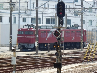 JR東日本 国鉄EF81形電気機関車 EF81 97 鉄道フォト・写真 by さんたかさん 水戸駅 (JR)：2015年05月17日14時ごろ
