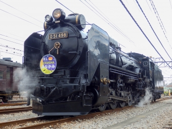 JR東日本 D51形 D51 498 鉄道フォト・写真 by さんたかさん 高崎駅 (JR)：2015年10月31日10時ごろ