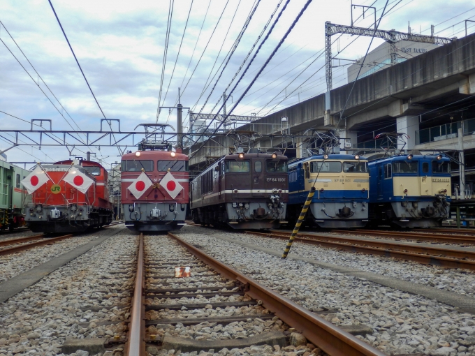 JR東日本 国鉄EF81形電気機関車 EF81 81 鉄道フォト・写真 by さんたかさん 高崎駅 (JR)：2015年10月31日10時ごろ
