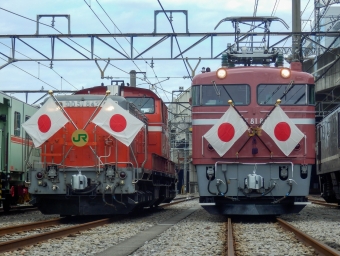 JR東日本 国鉄DD51形ディーゼル機関車 DD51 842 鉄道フォト・写真 by さんたかさん 高崎駅 (JR)：2015年10月31日10時ごろ