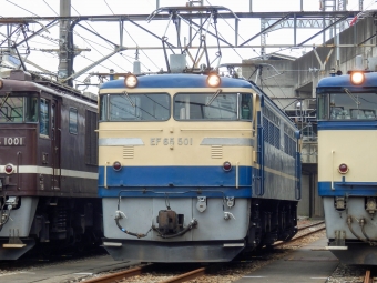 JR東日本 国鉄EF65形電気機関車 EF65 501 鉄道フォト・写真 by さんたかさん 高崎駅 (JR)：2015年10月31日10時ごろ