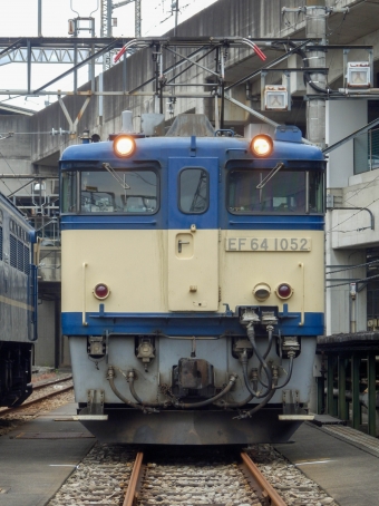 JR東日本 国鉄EF64形電気機関車 EF64 1052 鉄道フォト・写真 by さんたかさん 高崎駅 (JR)：2015年10月31日10時ごろ