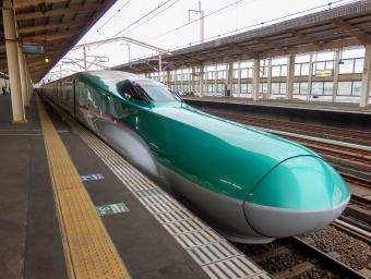 JR東日本 E5系新幹線電車 E523形(T1c) 鉄道フォト・写真 by さんたかさん 小山駅：2015年10月31日12時ごろ