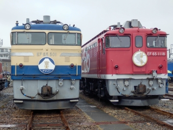 JR東日本 国鉄EF65形電気機関車 EF65 501 鉄道フォト・写真 by さんたかさん 尾久駅：2015年11月14日10時ごろ