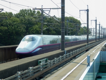 JR東日本 E2系新幹線電車 鉄道フォト・写真 by さんたかさん 羽貫駅：2016年05月21日09時ごろ