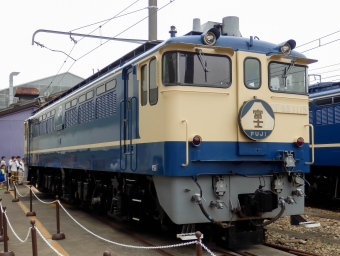 JR東日本 国鉄EF65形電気機関車 EF65 1115 鉄道フォト・写真 by さんたかさん 大宮駅 (埼玉県|JR)：2016年05月28日09時ごろ