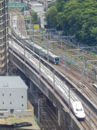 JR東日本 E4系新幹線電車 鉄道フォト・写真 by さんたかさん 王子駅 (JR)：2016年06月12日11時ごろ