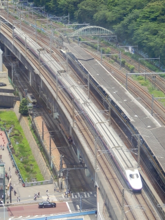 JR東日本 E2系新幹線電車 鉄道フォト・写真 by さんたかさん 王子駅 (JR)：2016年06月12日11時ごろ
