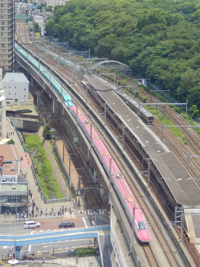 JR東日本 E6系新幹線電車 鉄道フォト・写真 by さんたかさん 王子駅 (JR)：2016年06月12日11時ごろ