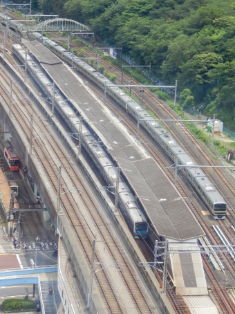JR東日本E233系電車 鉄道フォト・写真 by さんたかさん 王子駅 (JR)：2016年06月12日11時ごろ