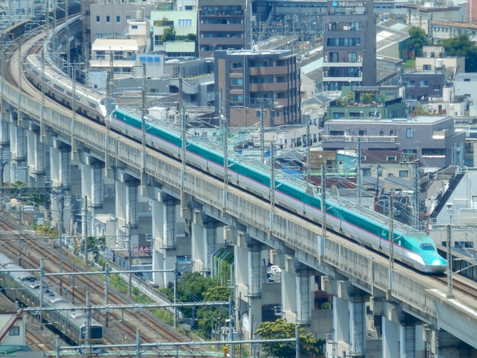 JR東日本 E5系新幹線電車 鉄道フォト・写真 by さんたかさん 王子駅 (JR)：2016年06月12日11時ごろ
