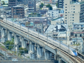 JR東日本 E7・W7系新幹線電車 鉄道フォト・写真 by さんたかさん 王子駅 (JR)：2016年06月12日12時ごろ