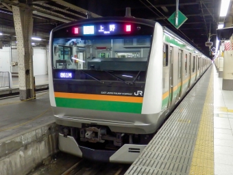 JR東日本E233系電車 鉄道フォト・写真 by さんたかさん 上野駅 (JR)：2014年02月13日09時ごろ