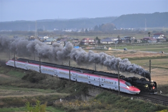 JR東日本 C61形 SLこまち C61 20 鉄道フォト・写真 by 2428Mさん 四ツ小屋駅：2018年10月14日17時ごろ