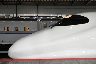 JR東日本 E224形(T2c) やまびこ(新幹線) E224-1116 鉄道フォト・写真 by わんべあさん 東京駅 (JR)：2022年06月11日22時ごろ