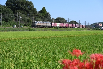 JR貨物 EF81-303 鉄道フォト・写真 by Norikumaさん 崇城大学前駅：2021年09月20日09時ごろ