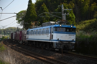 JR貨物 EF81 EF81-454 鉄道フォト・写真 by Norikumaさん 植木駅：2020年04月18日09時ごろ