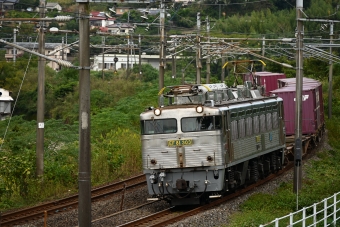 JR貨物 EF81 EF81-303 鉄道フォト・写真 by Norikumaさん 植木駅：2020年10月18日09時ごろ
