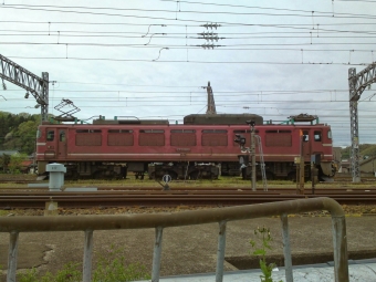 JR西日本 国鉄EF81形電気機関車 EF81-116 鉄道フォト・写真 by シルバー3号機さん ：2012年04月26日15時ごろ