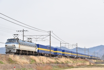 JR貨物 国鉄EF66形電気機関車 EF66-129 鉄道フォト・写真 by ぽんすけさん 米原駅 (JR)：2021年02月12日14時ごろ