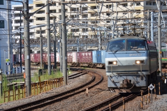 JR貨物 国鉄EF66形電気機関車 EF66-121 鉄道フォト・写真 by 座衛門さん 大船駅 (JR)：2020年08月20日14時ごろ