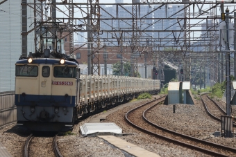 JR貨物 国鉄EF65形電気機関車 EF65-2065 鉄道フォト・写真 by とことこトレインさん 八丁畷駅 (JR)：2020年08月12日10時ごろ