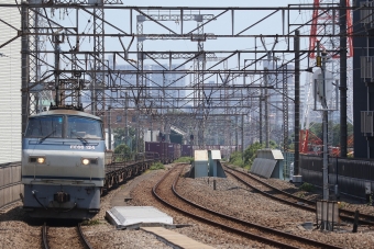 JR貨物 EF66-124 鉄道フォト・写真 by とことこトレインさん 八丁畷駅 (JR)：2020年08月12日12時ごろ