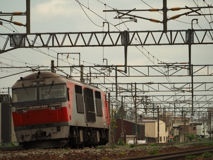 JR貨物 DF200形ディーゼル機関車 DF200-112 苗穂駅 鉄道フォト・写真