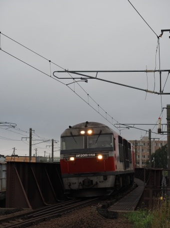 DF200-114 鉄道フォト・写真